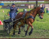 1POSIEUX 0380